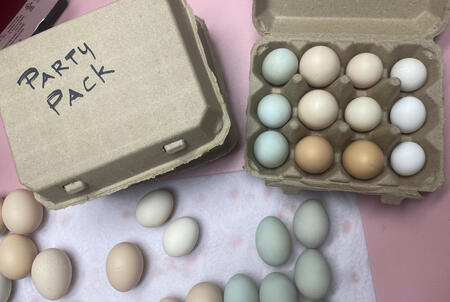 Party Pack-Mixed Party Pack-Mixed